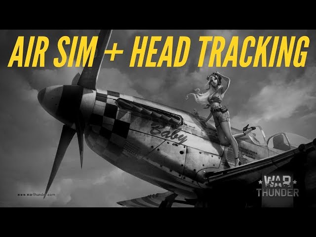 War Thunder Air Sim with Head Tracking