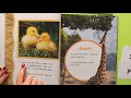 Animal Facts and Adaptations