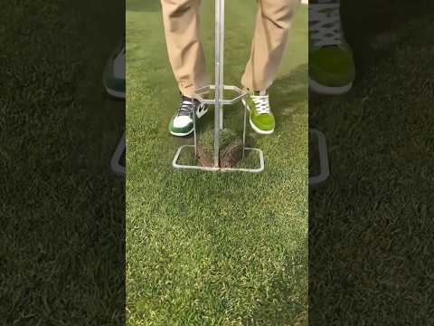 A new way to save park grass#ytshorts #virakshorts