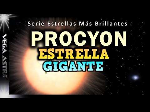 ⭐Las Estrellas PROCYON A y B