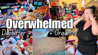 Complete Disaster! The Momentum Method: Declutter Clean and Organize