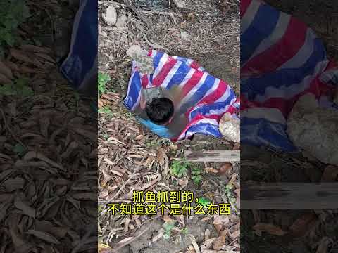 #fishing #bamboo1 #funny #bambooacademy #life #pubgmobile #cooking #pubg #machine