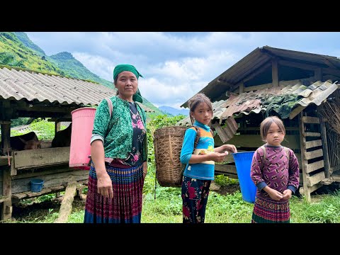 Tìm Mua Đất Giúp 3 Mẹ Con CHỊ KÍA Toàn Hô 100Tr