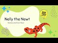 Nelly the Newt's Adventure Insights