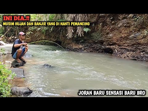 MANCING NILEM LIAR SEHABIS HUJAN || GAK NYANGKA DAPAT IKAN BABON JENIS INI BRO