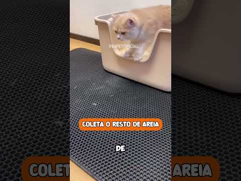 TAPETE COLETOR DE AREIA PARA GATOS #gatos #gatinhos #pets #cat