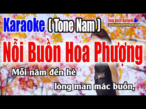 Karaoke || Nỗi Buồn Hoa Phượng (Tone Nam) Nhạc Sống Tùng Bách