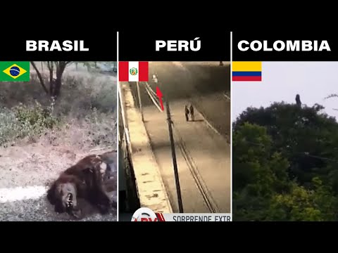 Los Videos Mas Escalofriantes Y Misteriosos de Cada País.