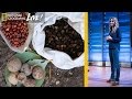 Survival Skills and Nature Connection
