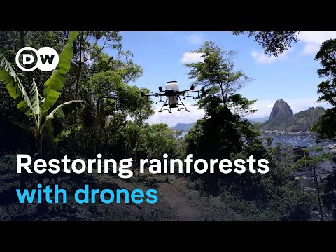 YouTube video thumbnail: How Drones Could Help Bring Dead Rainforests Back to Life