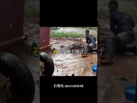 野球ボールではなくレンガを投げる少年
