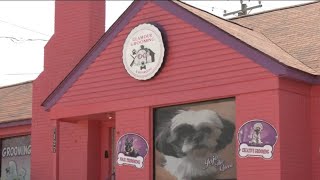DISTURBING VIDEO WARNING - More pet owners come forward with allegations against Memphis business