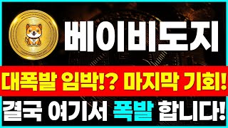 [베이비도지코인 분석] 차트붕괴 직전! 재단 나섰다!!♻️대규모 소각 발표!!♻️목표가 정해졌습니다!