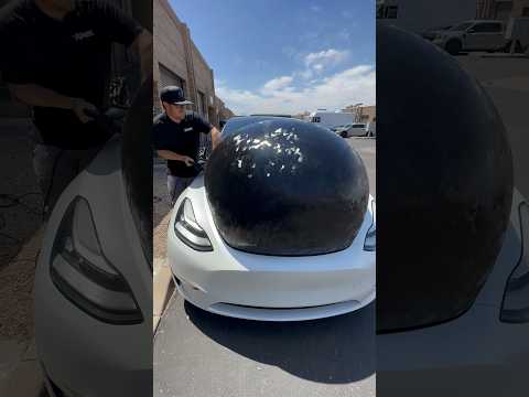Does it pop ? Removing @stekusa paint protection film ! #tesla #wrap #carlifestyle