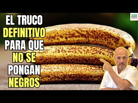 ✅ ¿COMO CONSERVAR LOS PLATANOS DURANTE MAS TIEMPO SIN QUE SE PONGAN NEGROS CON ESTE TRUCO? ✅