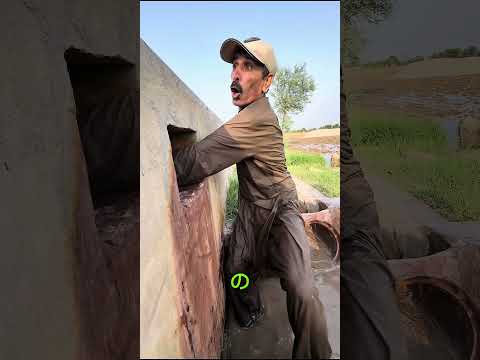 ワニはこの男に何をしたのでしょうか?