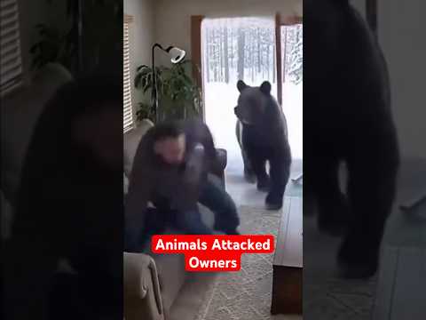 4 Animals That Turned on Their Owners #shorts
