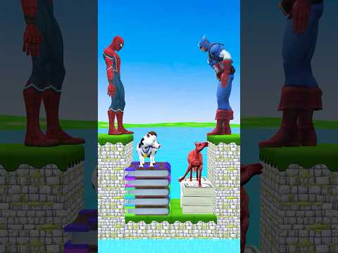 Money vs Knowledge, What do you like? #Shorts #animation