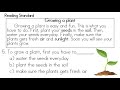 Steps in Growing a Plant