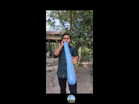 The Last Village is New balloon popping live! 😄💖🤍
