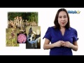 Biotic and Abiotic Factors in Ecosystems