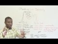 Understanding Modal Verbs and Their Uses
