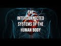 Body Systems and Their Functions