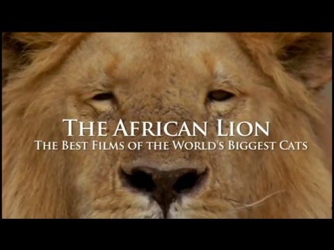 The African Lion Trailer