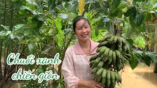 Chị 2 Cho Buồng Chuối Xiêm Đen Dung Làm Chuối Xanh Chiên Giòn Để Dành Ăn Như Bim Bim