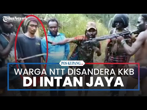 Beredar Video Warga NTT Disandera KKB di Intan Jaya