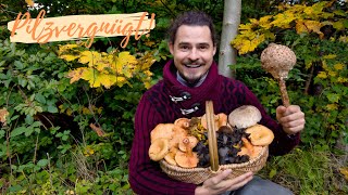 PILZEXPLOSION im goldenen Herbst 2025 🤩 Pfifferlinge, Herbsttrompeten & Reizker in Massen!