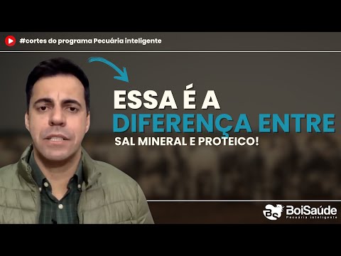 🔵 QUAL A DIFERENÇA ENTRE SAL MINERAL E PROTEICO ENERGÉTICO?