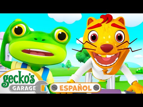 Comadreja sucia | 🐸🦎 Garaje de  Gecko  📺 TV para niños 📺 Caricaturas, dibujos animados niños