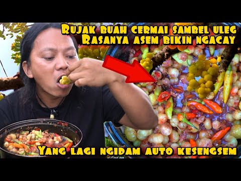 RUJAK BUAH CERMAI RASANYA ASEM BIKIN NGACAY
