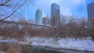 눈 내린 날, 여기 한번 와보세요. 조용히 걷기 좋아요. 서울입니다~