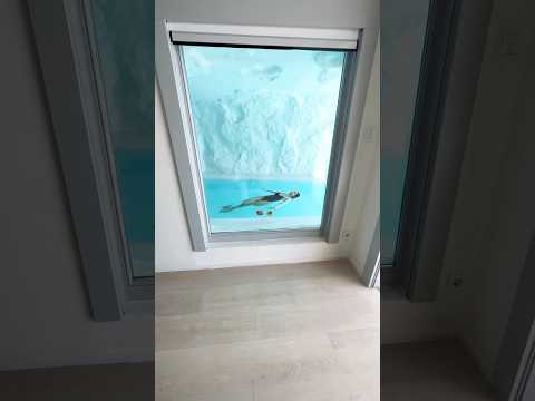 This hotel room is beyond fantasy ❤️ #cavotagoomykonos #luxuryhotel