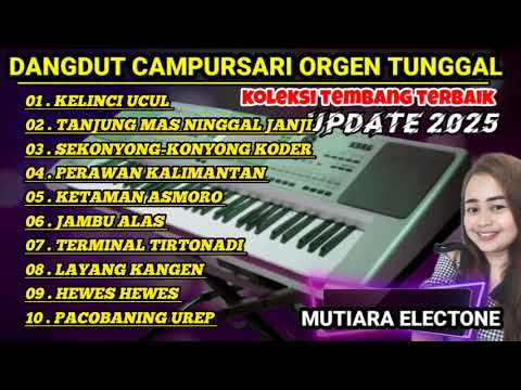 DANGDUT CAMPURSARI TERLARIS 2025 KOLEKSI LAGU JAWA TERPOPULER NYAMPLENG TENAN REK,,!!