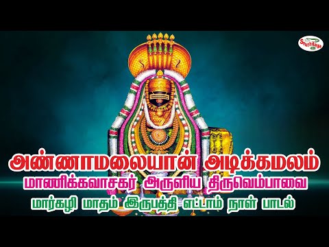 அண்ணாமலையான் அடிக்கமலம் சென்றிறைஞ்சும் | Annamalayaan | மாணிக்கவாசகரின் திருவெம்பாவை | Sruthilaya