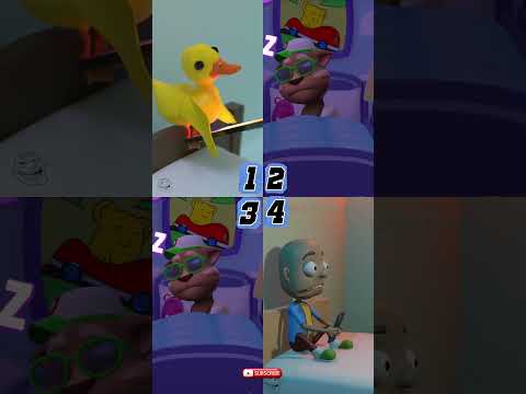 When you left your door open!#funny  #duck credit:@packyfilm @ODDSmiles1