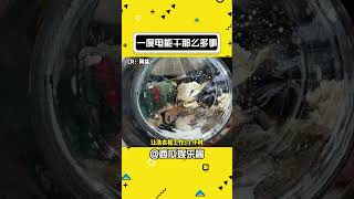 原来一度电能干那么多事！#一度电 #性价比 #家居 #电脑