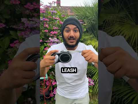 CRAZY LEFT OR RIGHT CHALLENGE ๐ถ๐๐ฑ #shorts