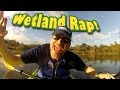 Wetland Ecosystem Roles and Importance