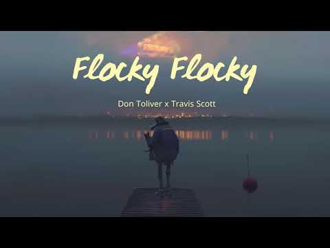 Vietsub | Flocky Flocky - Don Toliver ft. Travis Scott | Lyrics Video