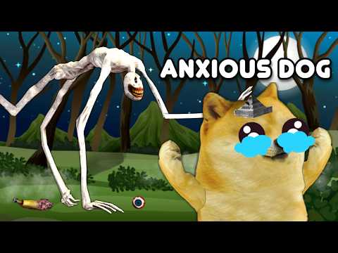 ESO NO ES UN PERRO, EL ANXIOUS DOG TE ESTA VIENDO! (el perro ansioso) - Hilos con cheems