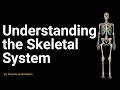 Understanding the Skeletal System
