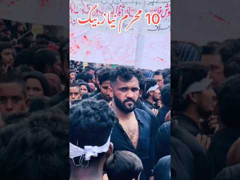Dogar Haider Matam Muharram Day 10😱 #rajabfamily #youtubeshorts #shortsfeed #shortsviral #shorts