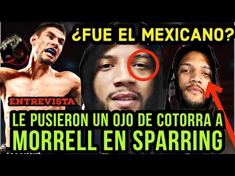 ¿Mexicano MORETEÓ A Morrell? HABLA Meño Gallegos, SPARRING del Cubano