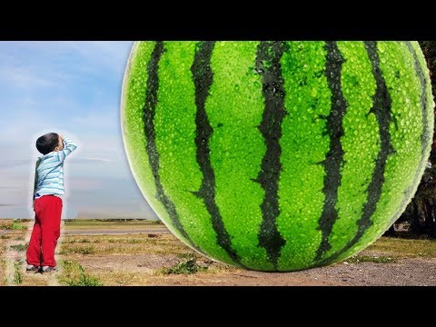 Kids Magic wand transform into a GIANT WATERMELON Johny Johny Yes Papa Nursery Rhymes Song