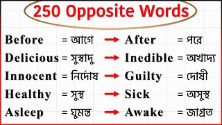 250 Opposite Words with Bangla Meaning // Bangla to English Word Meaning // Learn English Vocabulary