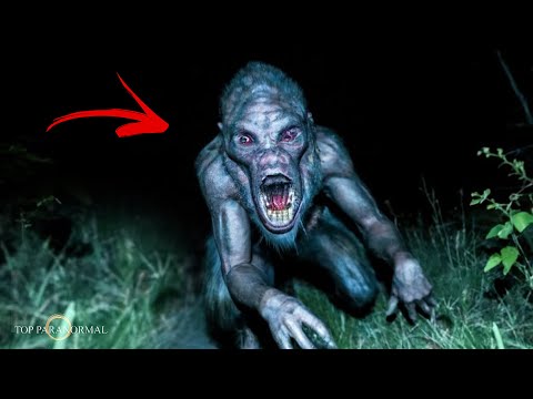 5 Encuentros Más Aterradores Captados en Cámara Parte 3 / Fantasmas y Criaturas / TERROR REAL 2024